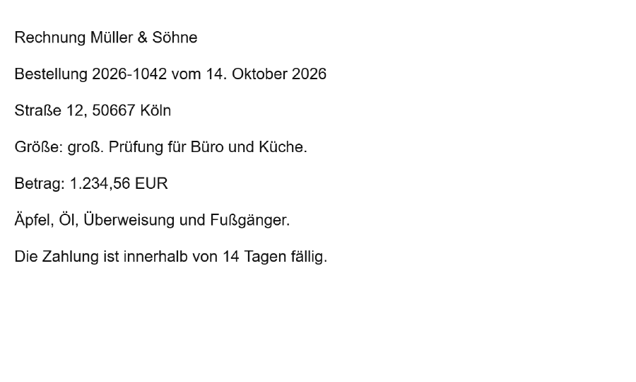 Ausschnitt der gescannten Seite mit den Zeilen „Rechnung Müller & Söhne“ und „Betrag: 1.234,56 EUR“. Die Seite besteht nur aus einem Bild.
